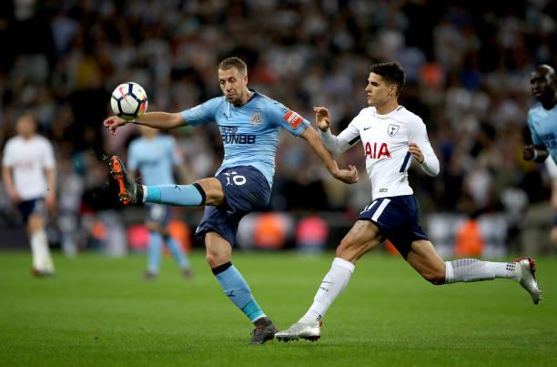 期内对雄鹿 期内对雄鹿