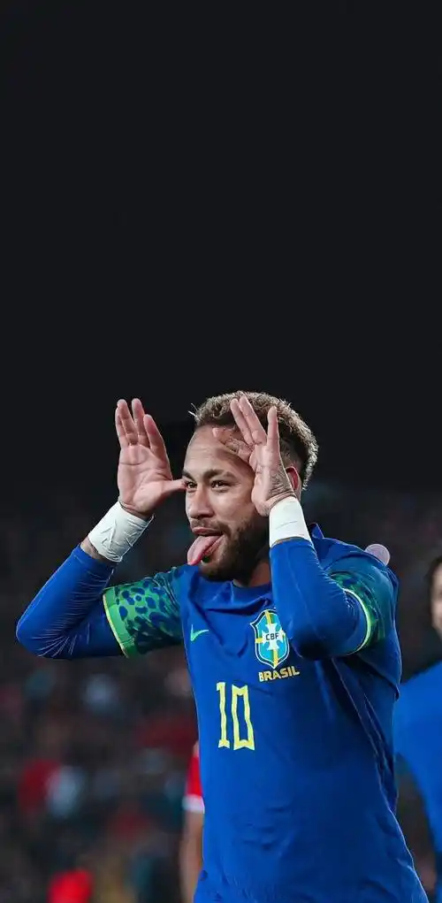 获得了必要 获得了必要