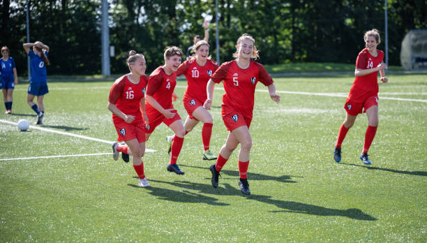 案例分析 案例分析