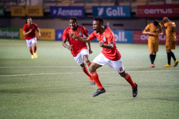 引入国外教 引入国外教